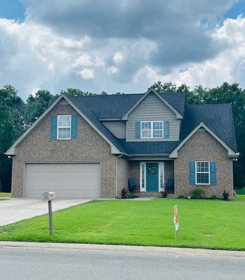 2435 Auldridge Dr Christiana TN 37037