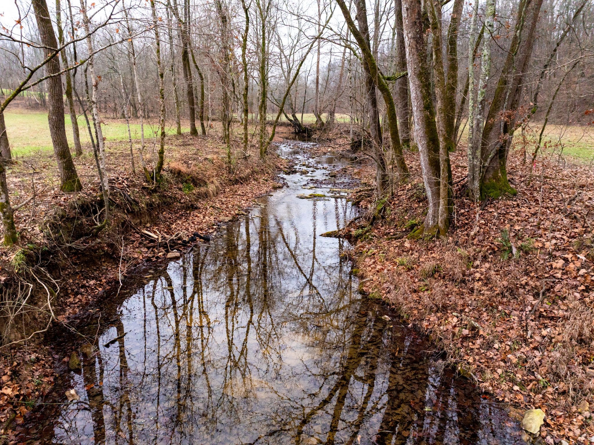 0 Shelter Branch Road