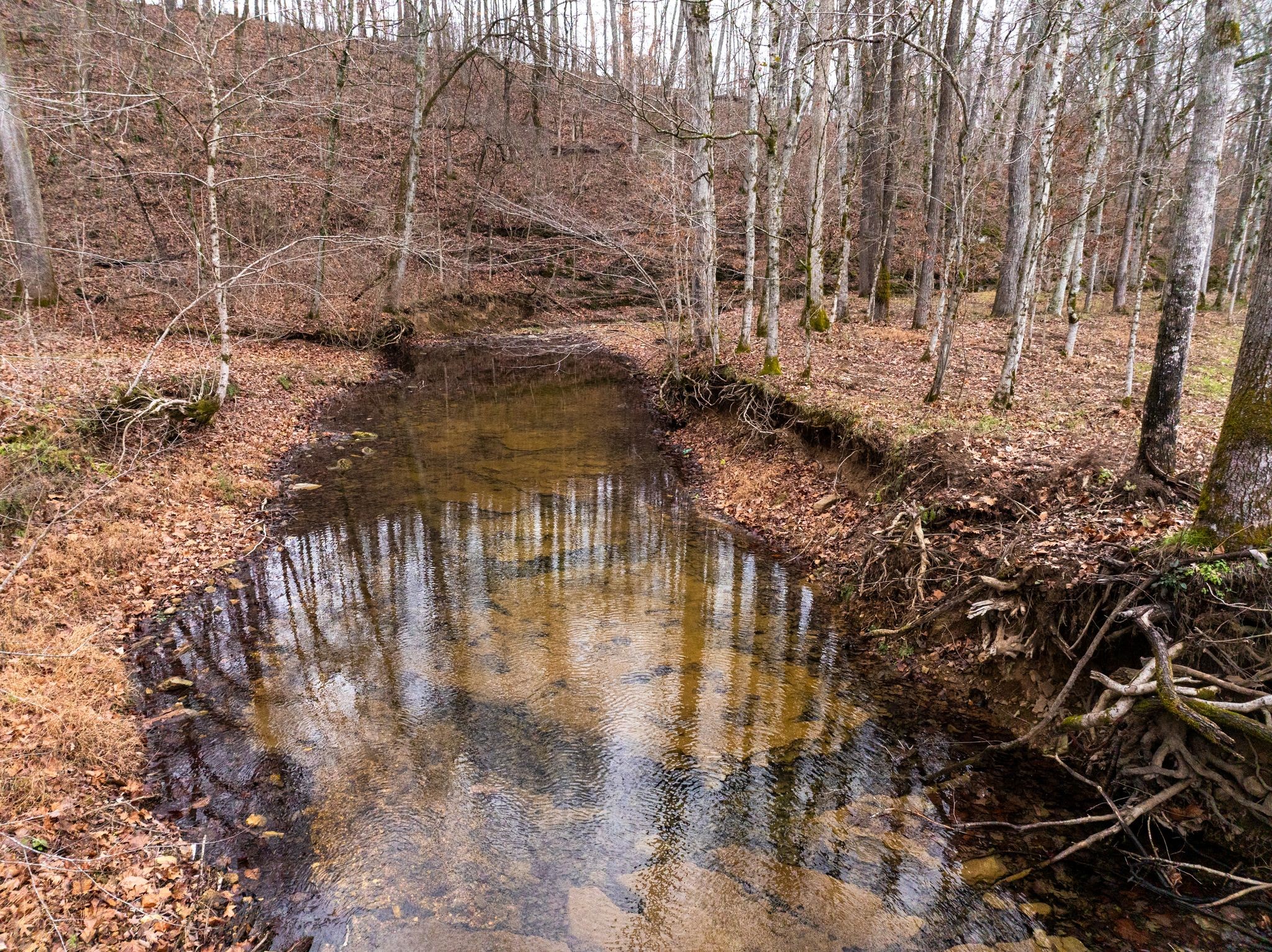 0 Shelter Branch Road