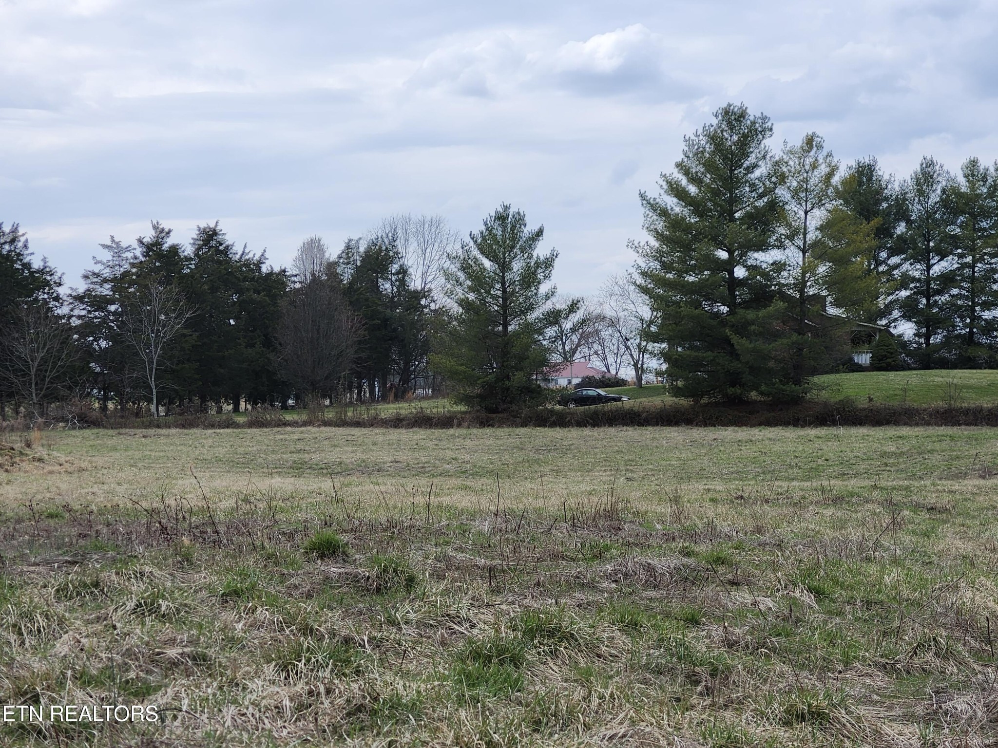 4299 W Andrew Johnson Hwy