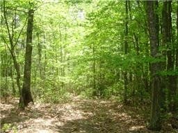 0 Boulder lake Rd