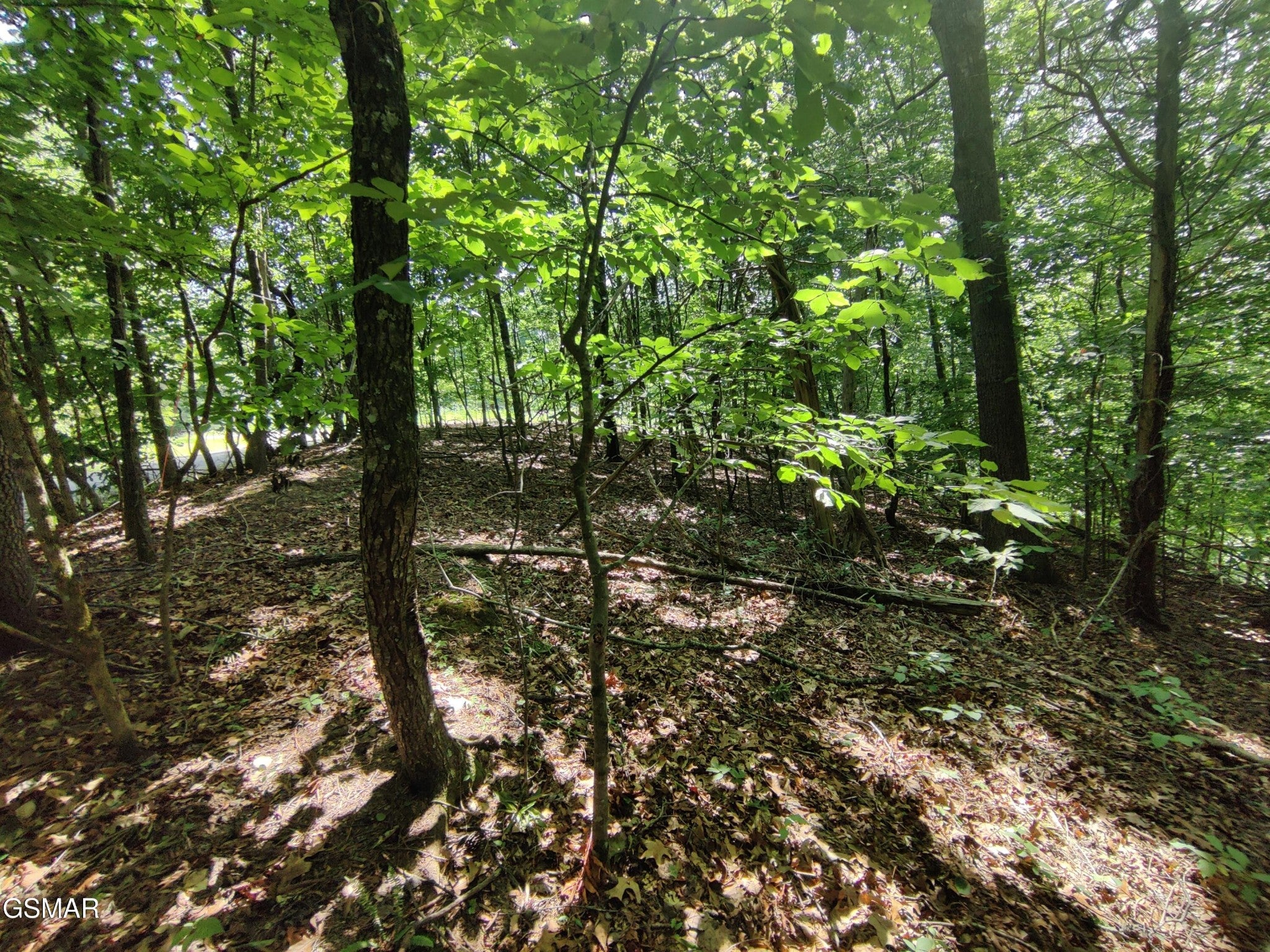 3347 Mountain View Lane