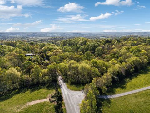 8 Old Apple Hill Rd Lynnville TN 38472