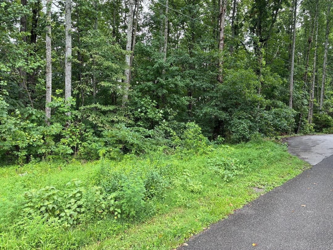 listing at 4672 Heath Road, Nashville