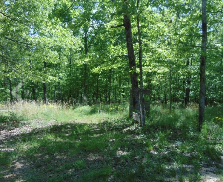 139 Lost Arrowhead Rd