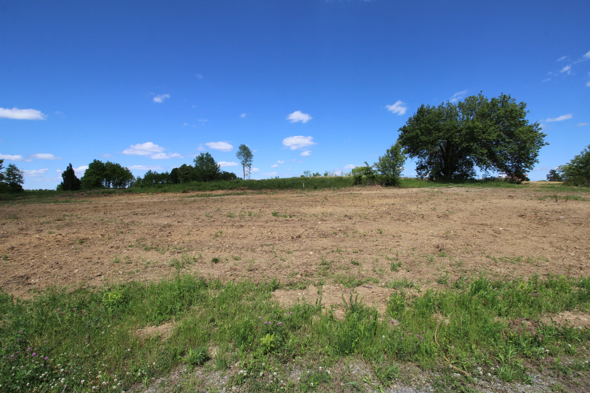 4773 McMinnville Hwy