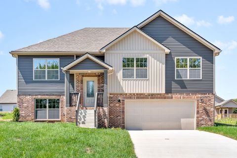 1254 Elizabeth Lane Clarksville TN 37042