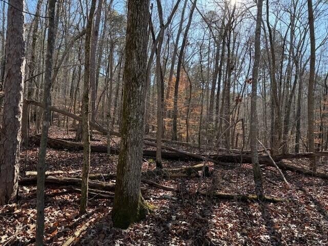 2 County Road 751