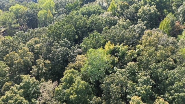 0 Chalk Hill Church Rd