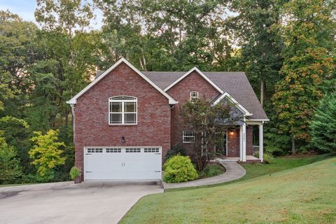 3047 Gracie Ann Dr Greenbrier TN 37073