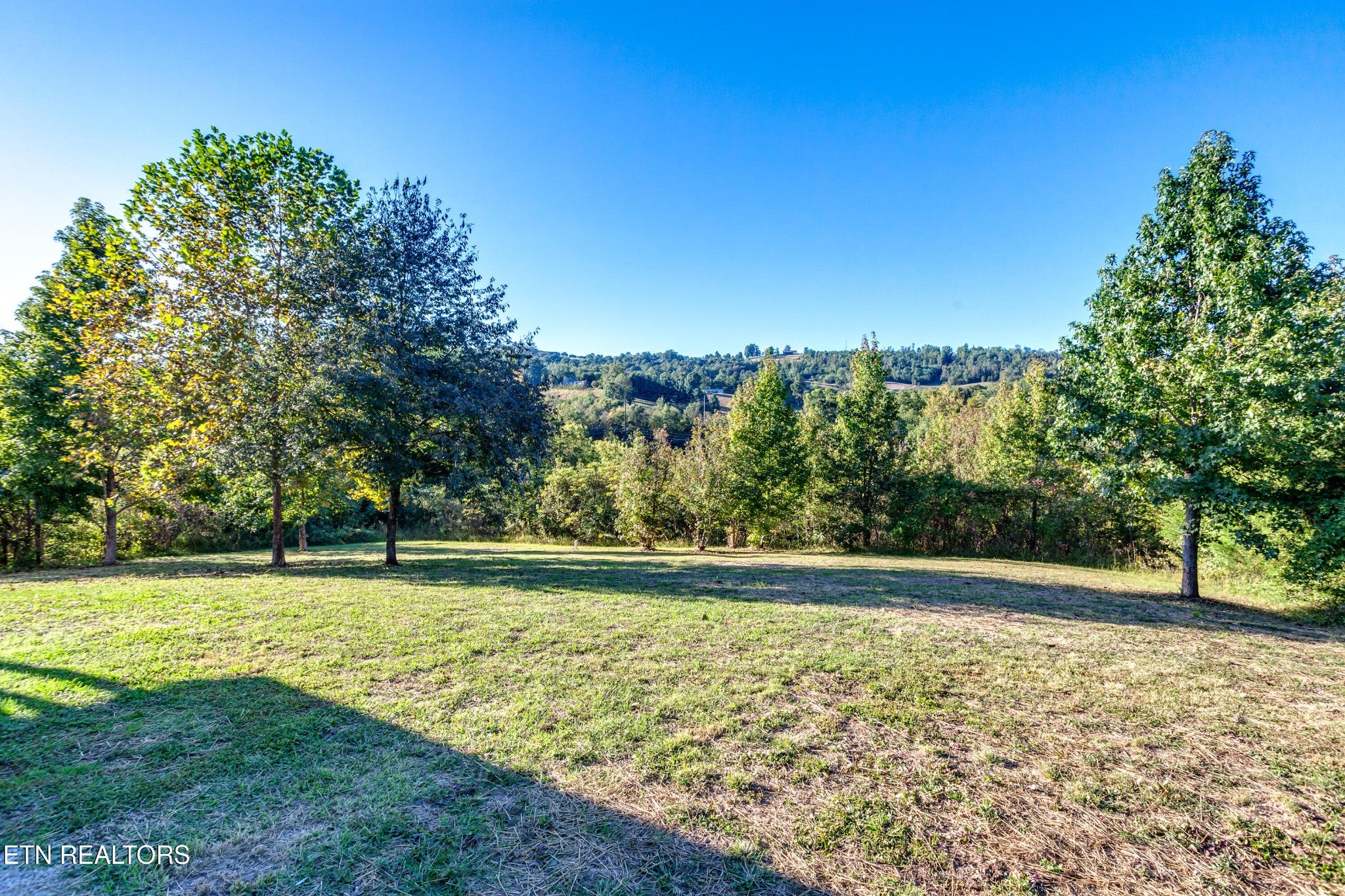 293 Lillian Lane