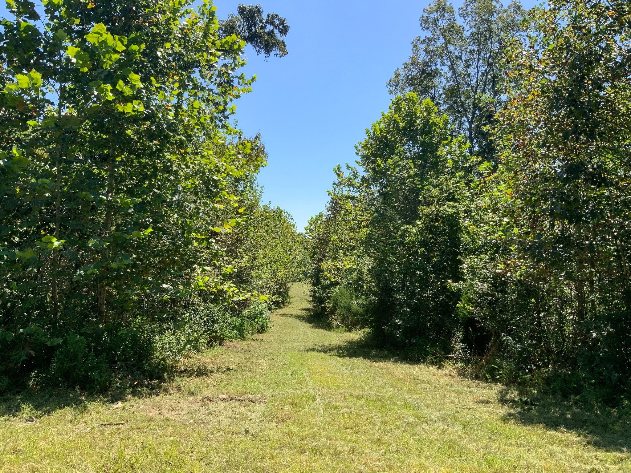 0 Streamside Drive