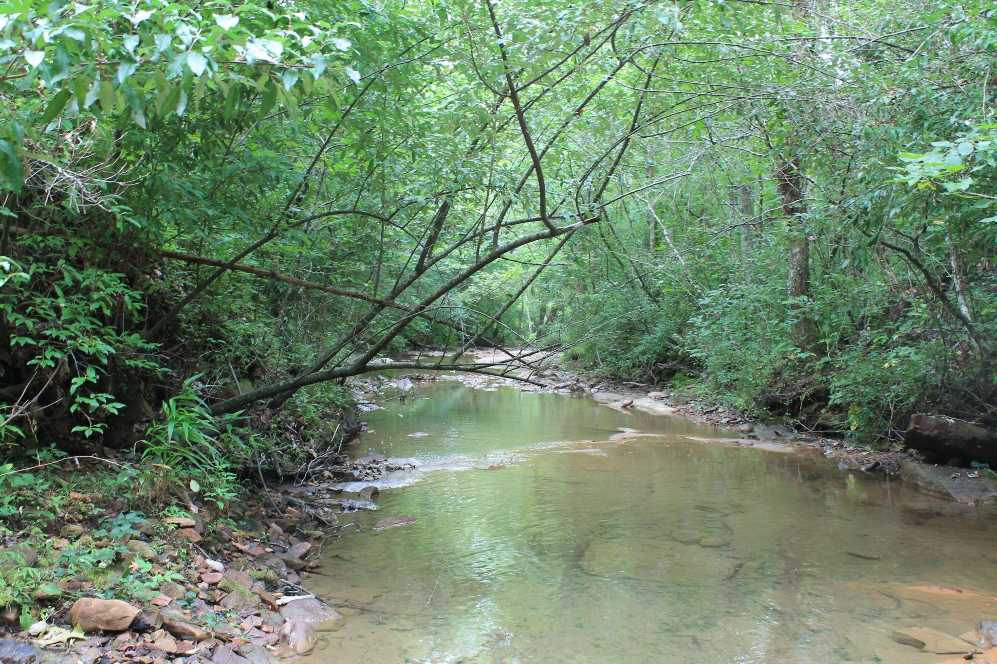 3 Straight Fork Road