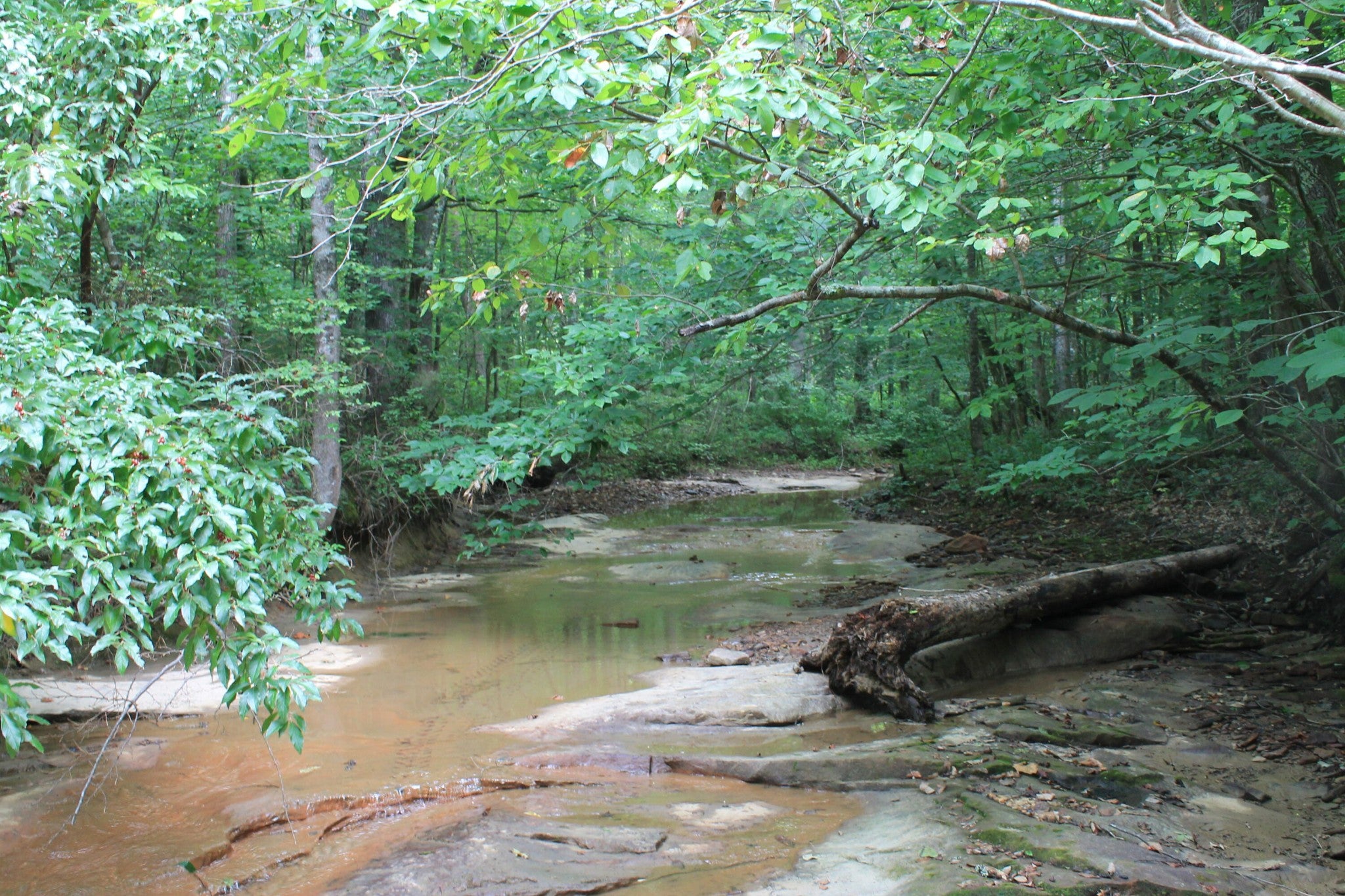 3 Straight Fork Road