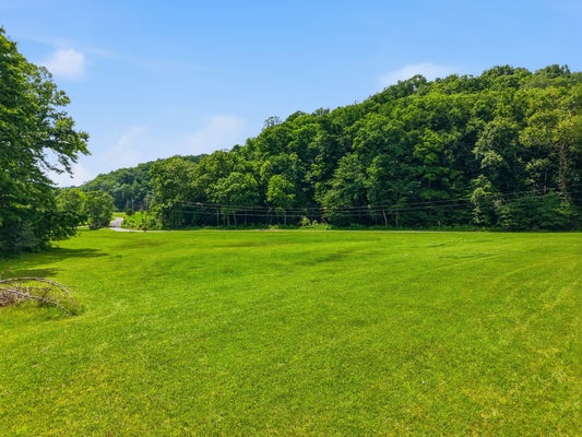 1639 EUCALYPTUS RD, BYRDSTOWN, TN 38549 - Image 0f3ca46dfd5d129e4abdf79eb74dbbd9/3343938539