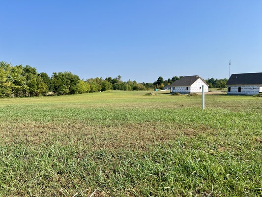 CATHERINES RDG, SCOTTSVILLE, KY 42164 - Image 0f424b04fa80106936b5eb3bc96df0ea/3740637018