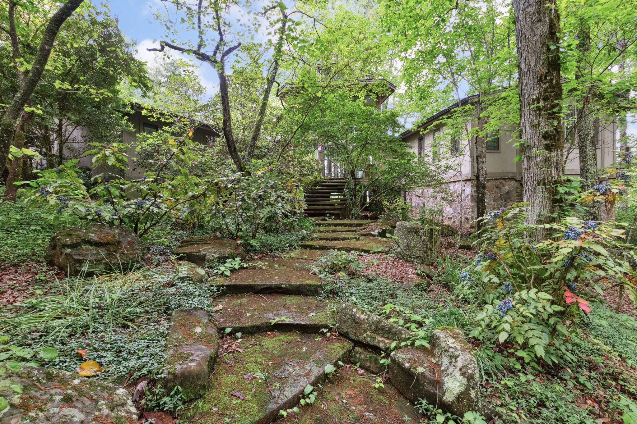 232 Hollingsworth Cove Rd