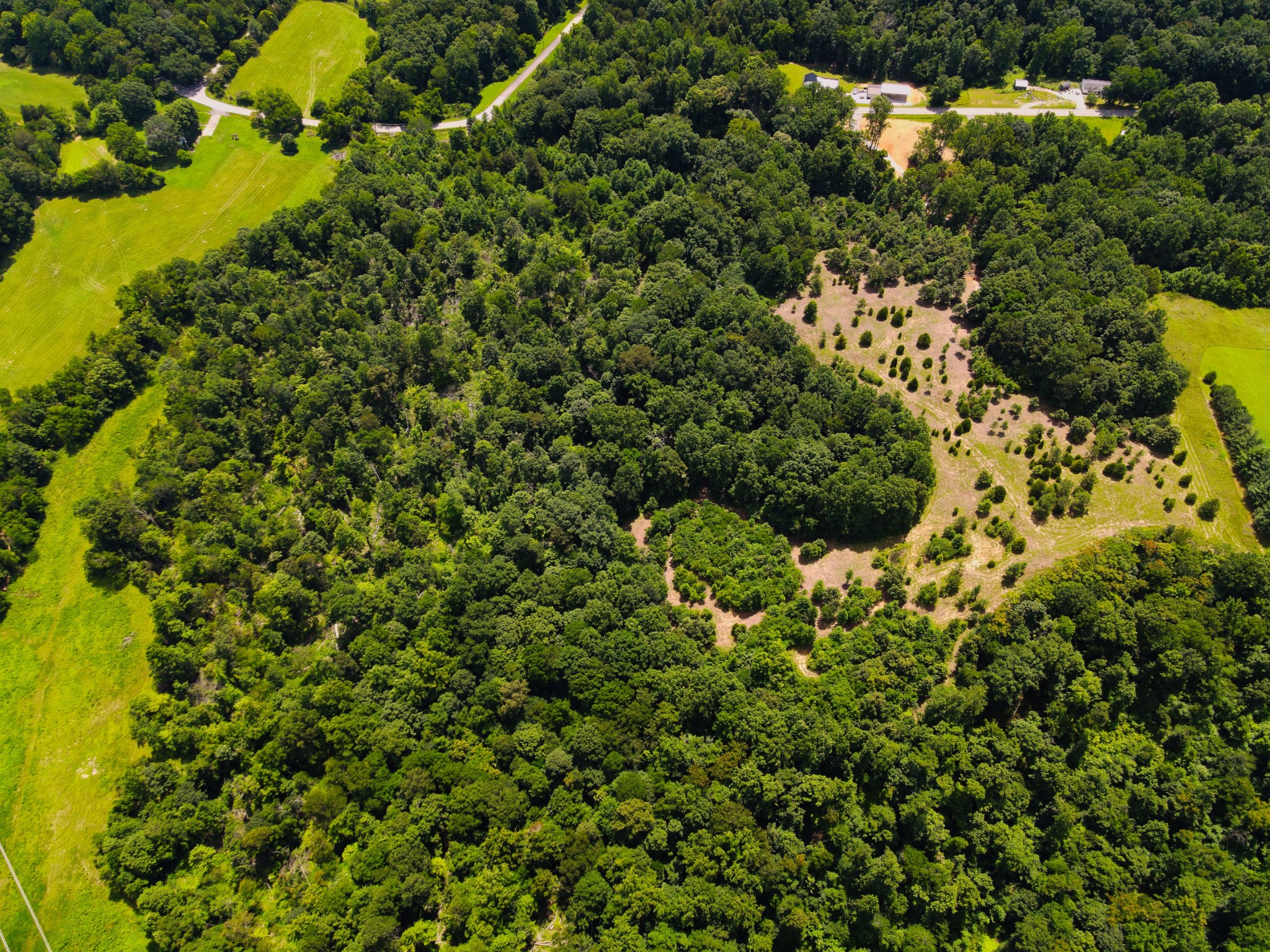 4200 Shiloh Canaan Rd