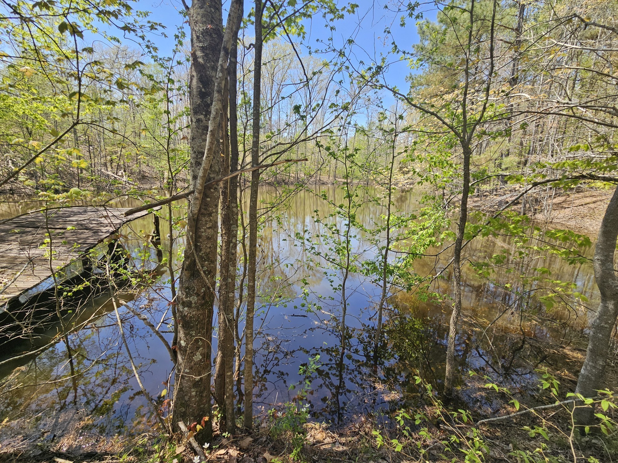 5005 Bunches Chapel Rd