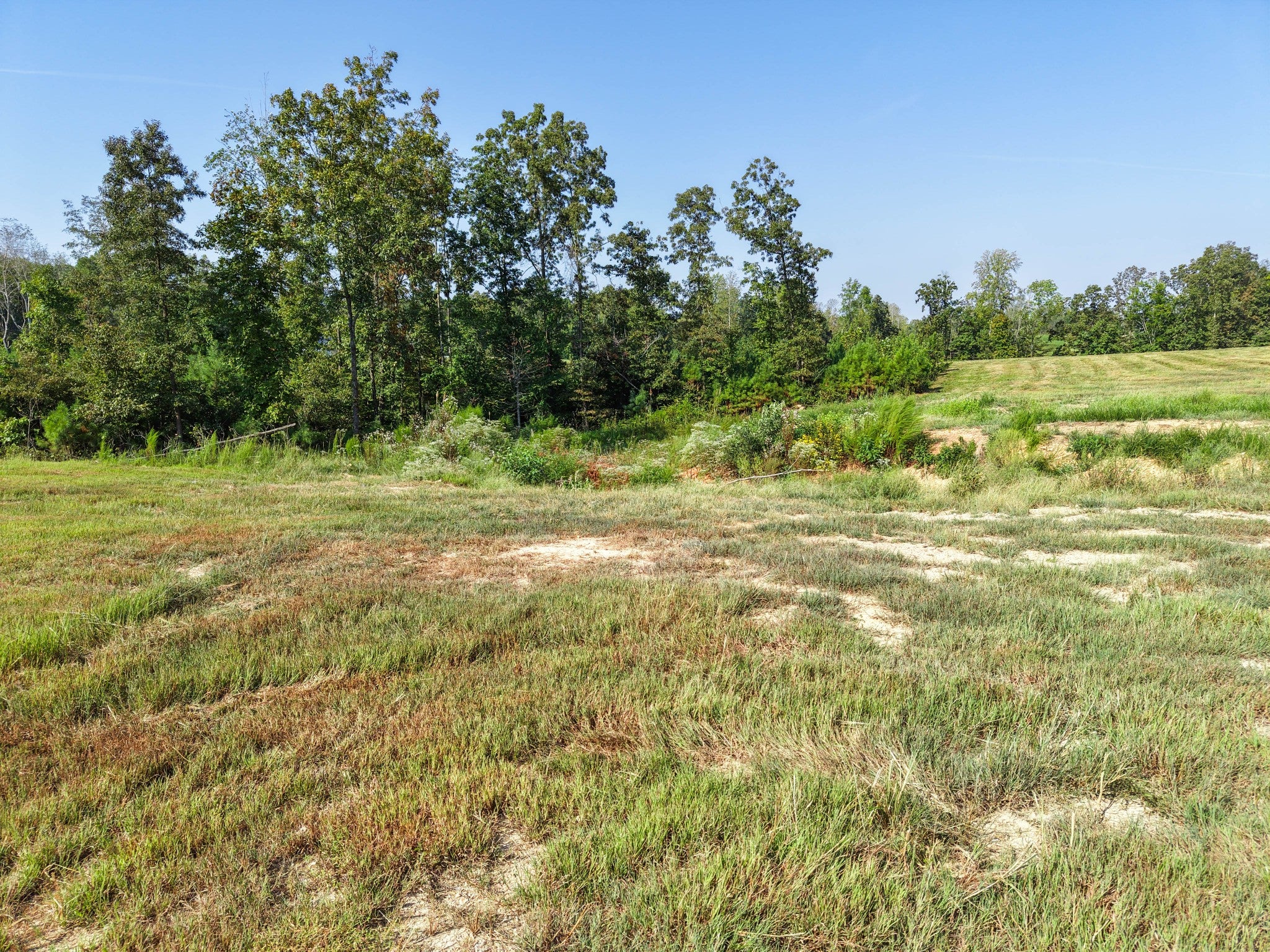 0 Bear Dr