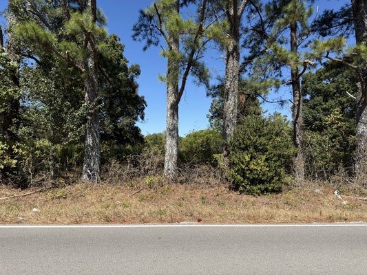 0 OLD FLORENCE PULASKI RD, LEOMA, TN 38468 - Image 0fa28dacffd8d73e1660b2df8e540248/4283501961