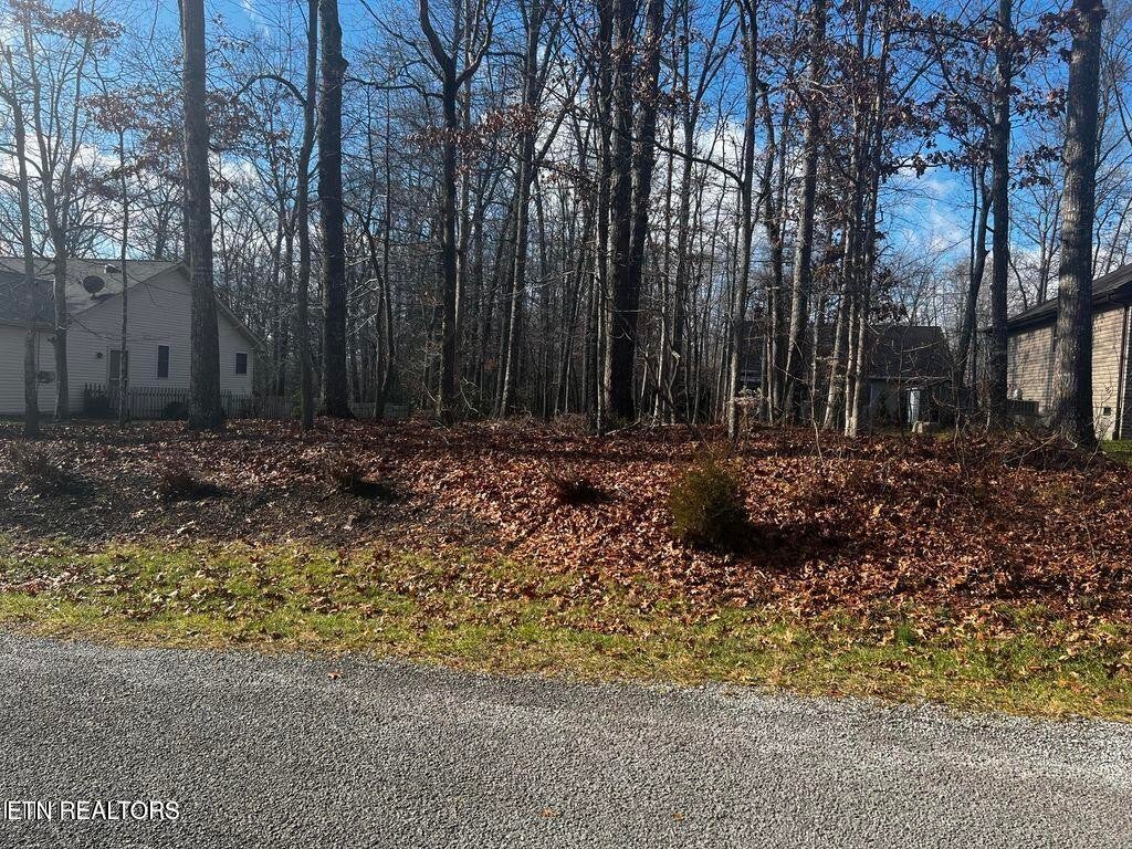 115 Essex Lane
