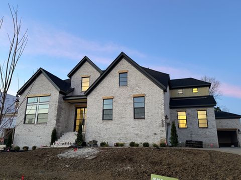 5159 High Park Hill Drive Arrington TN 37014