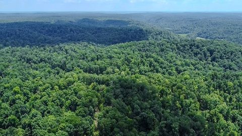 0 Buckfork Road Linden TN 37096