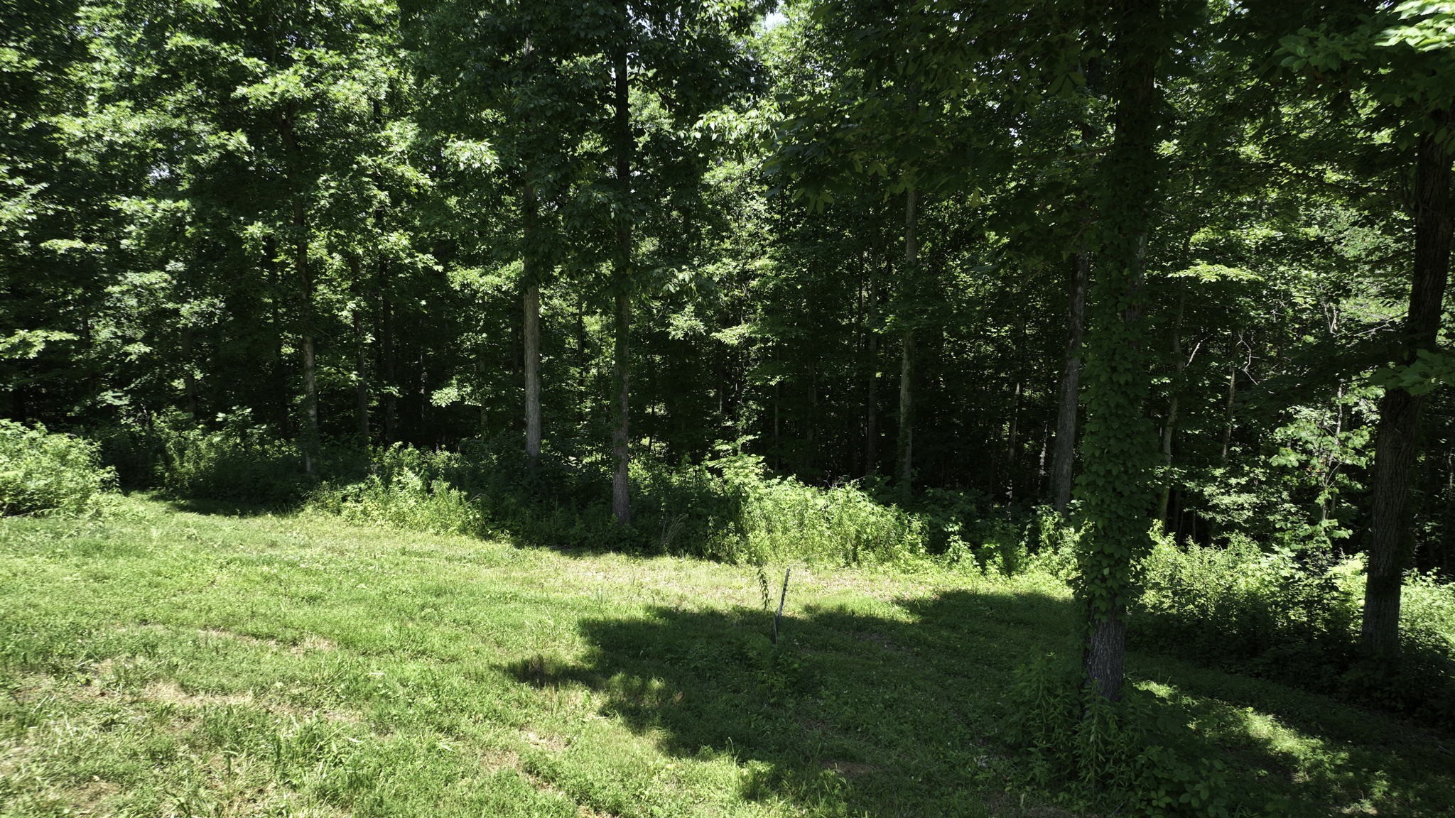 7840 W Lick Creek Rd