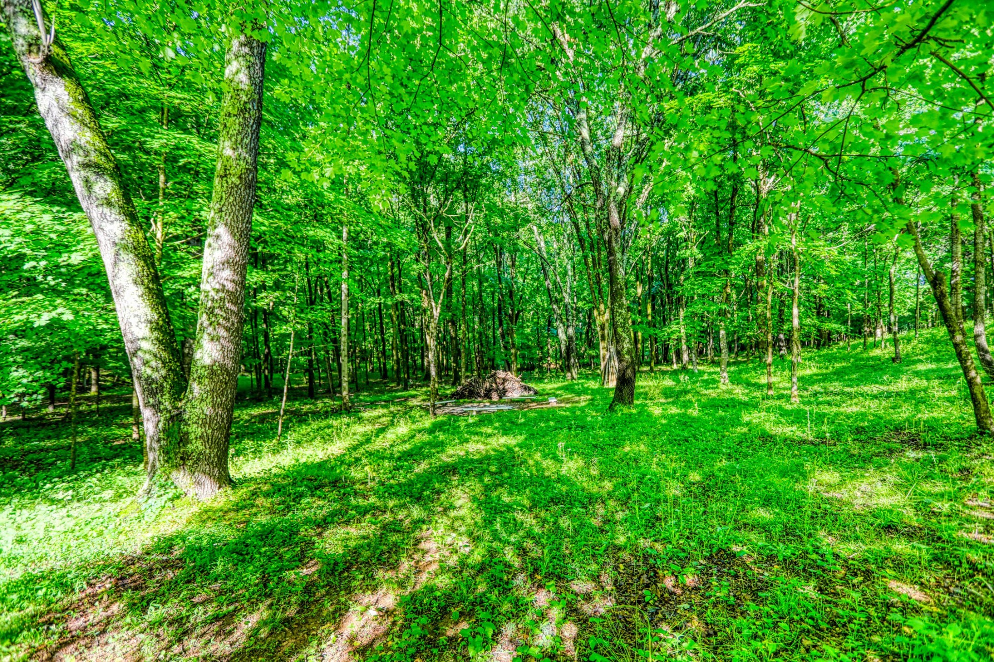 358 Spring Valley Dr