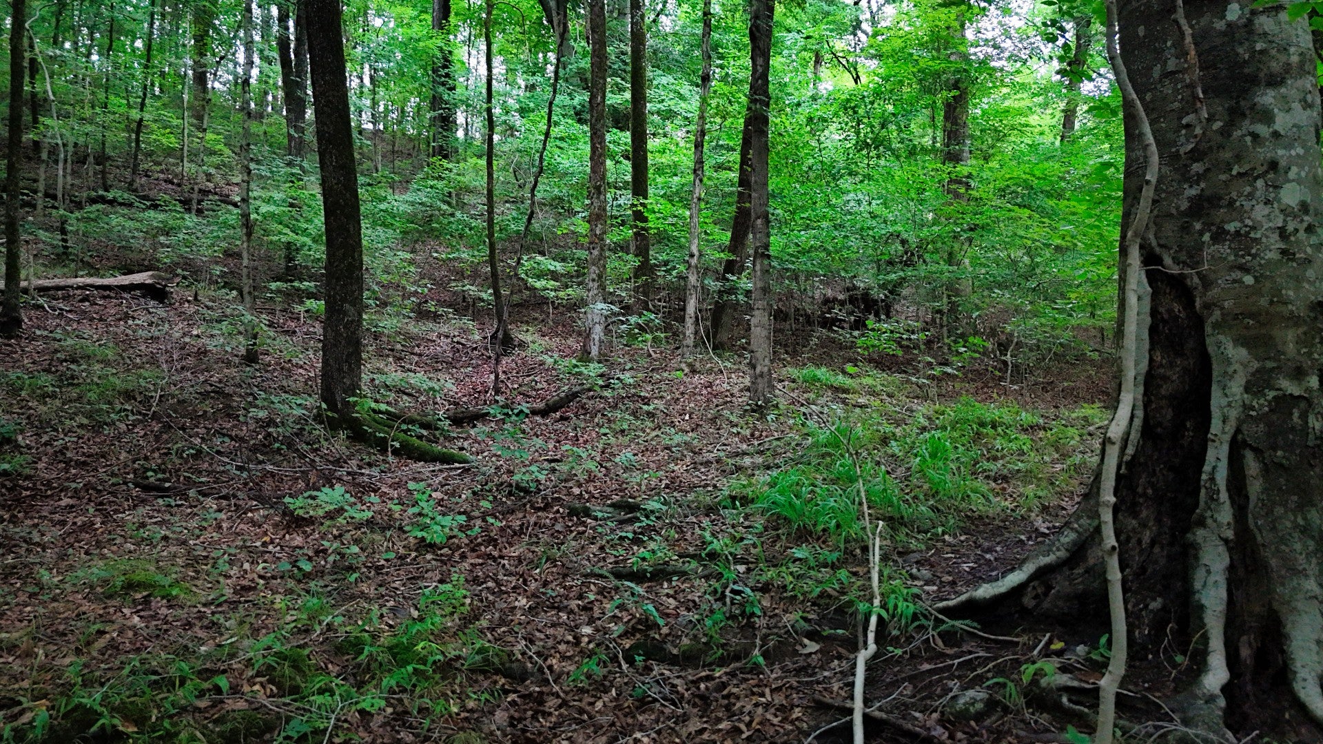 4 Cedar Hill Rd