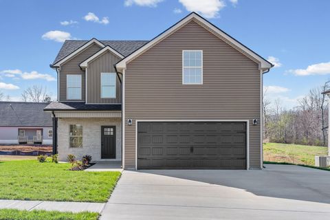 78 Sycamore Hill Clarksville TN 37042