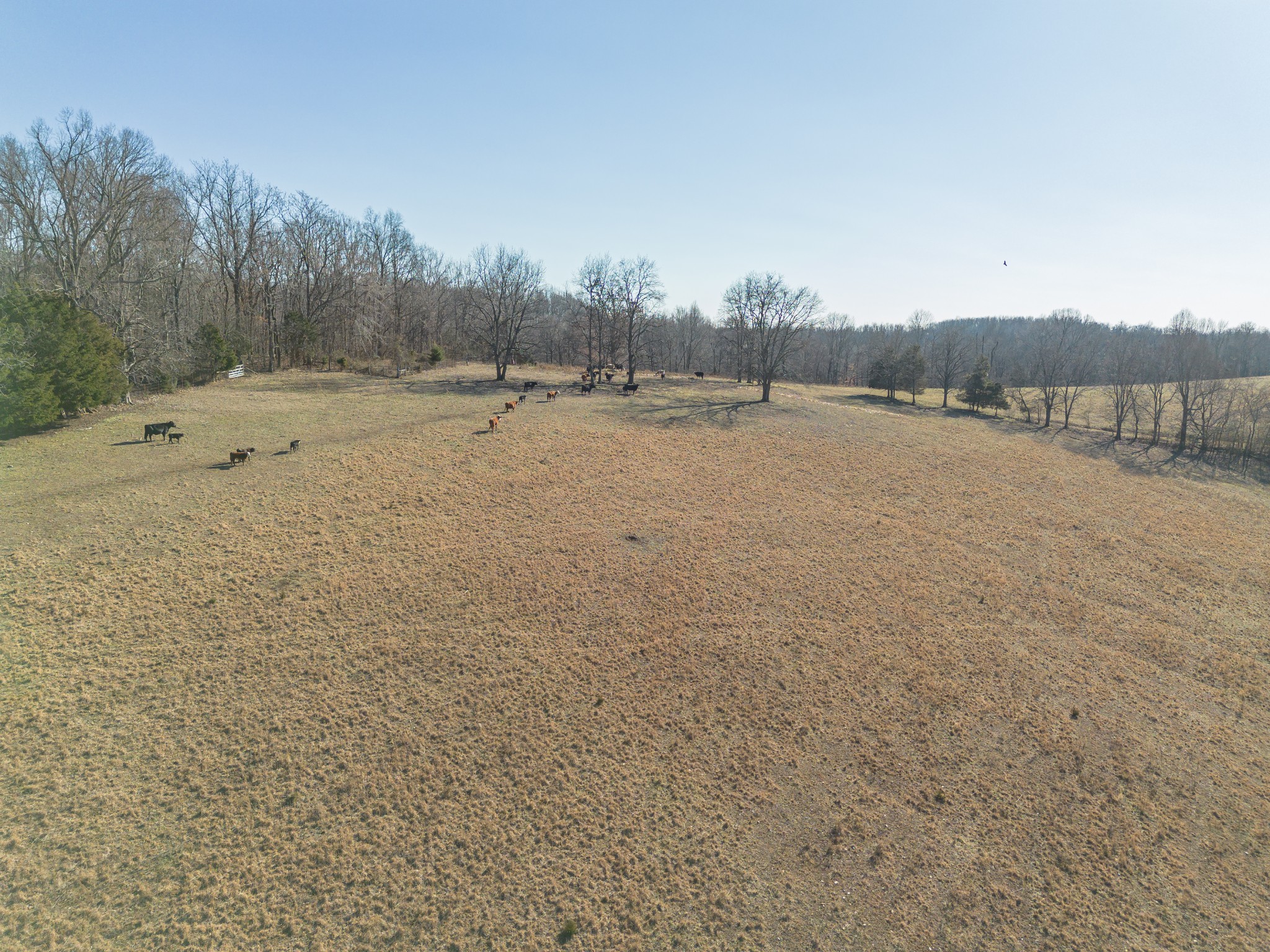 2031 Simmons Ridge Rd