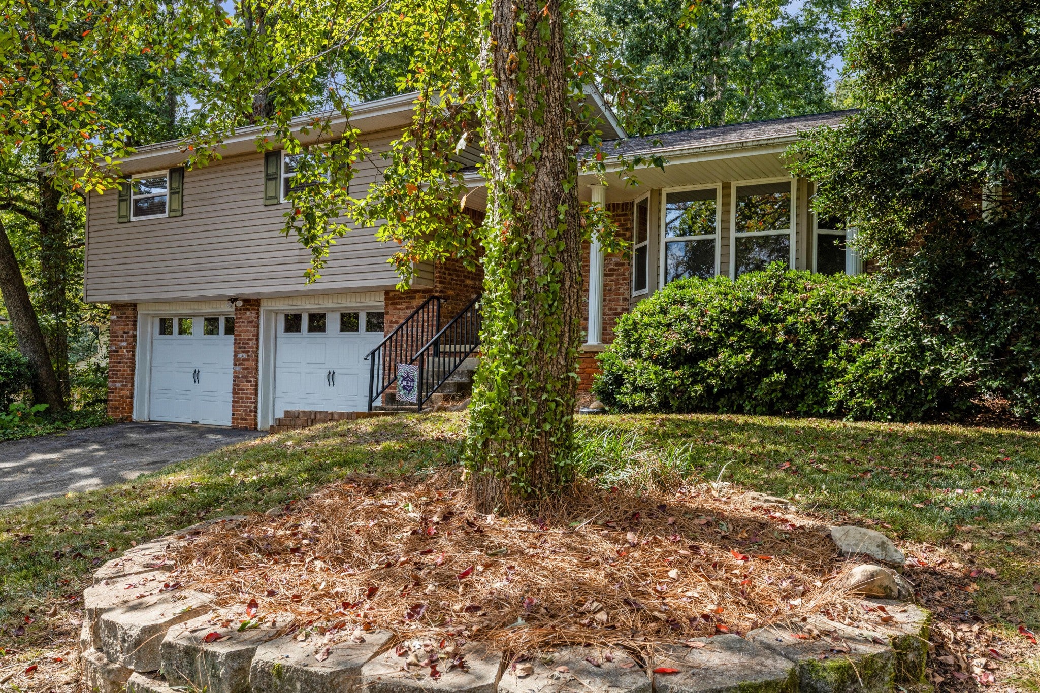 919 Carrie Lane