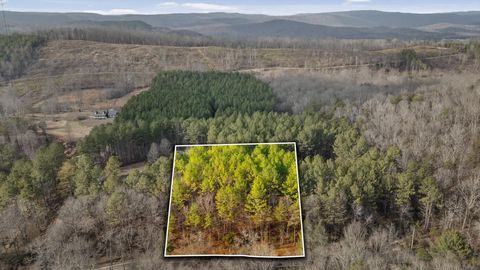 14675 Stormer Road Bakewell TN 37373