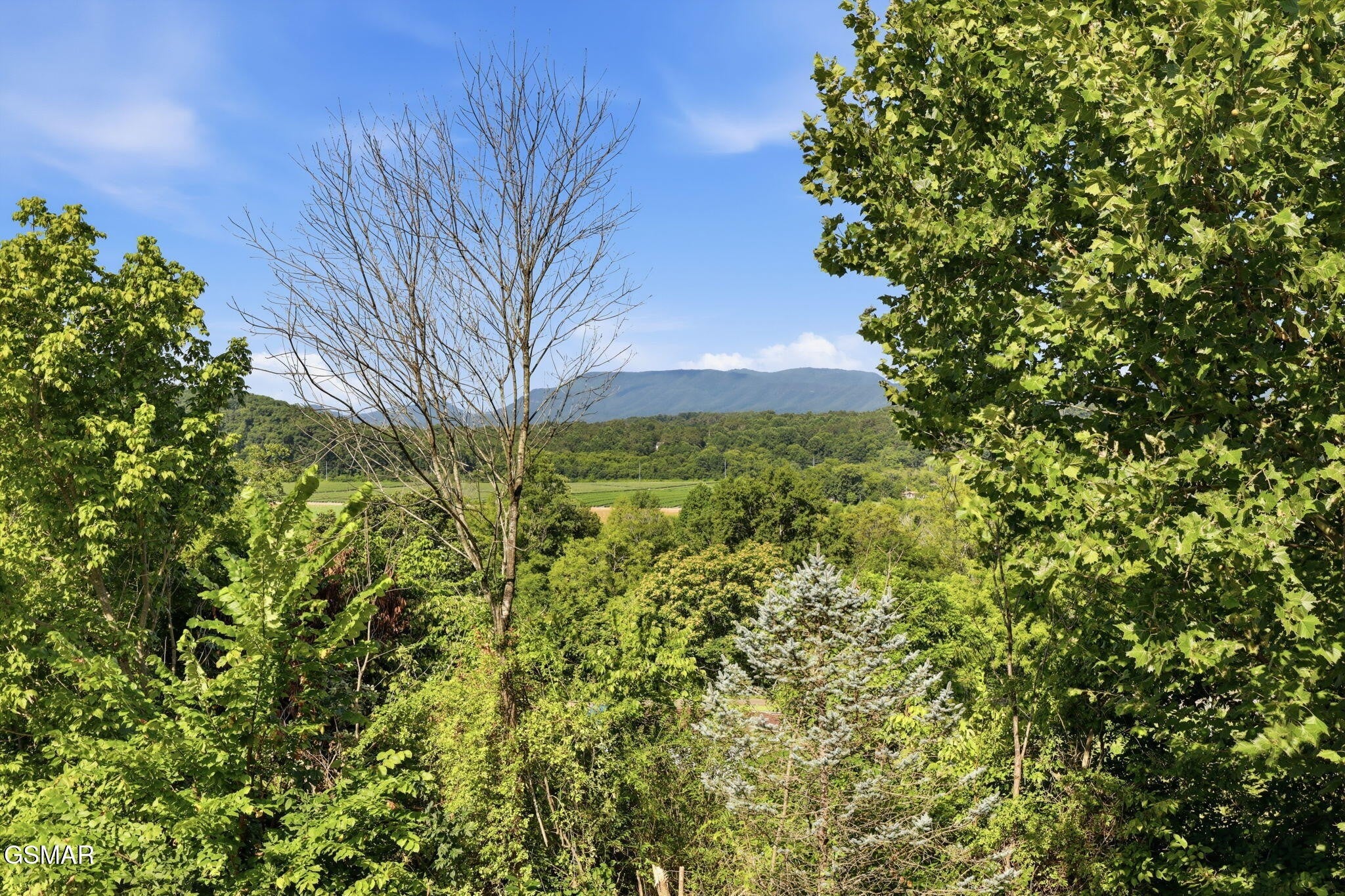 120 Hidden Mountain Way