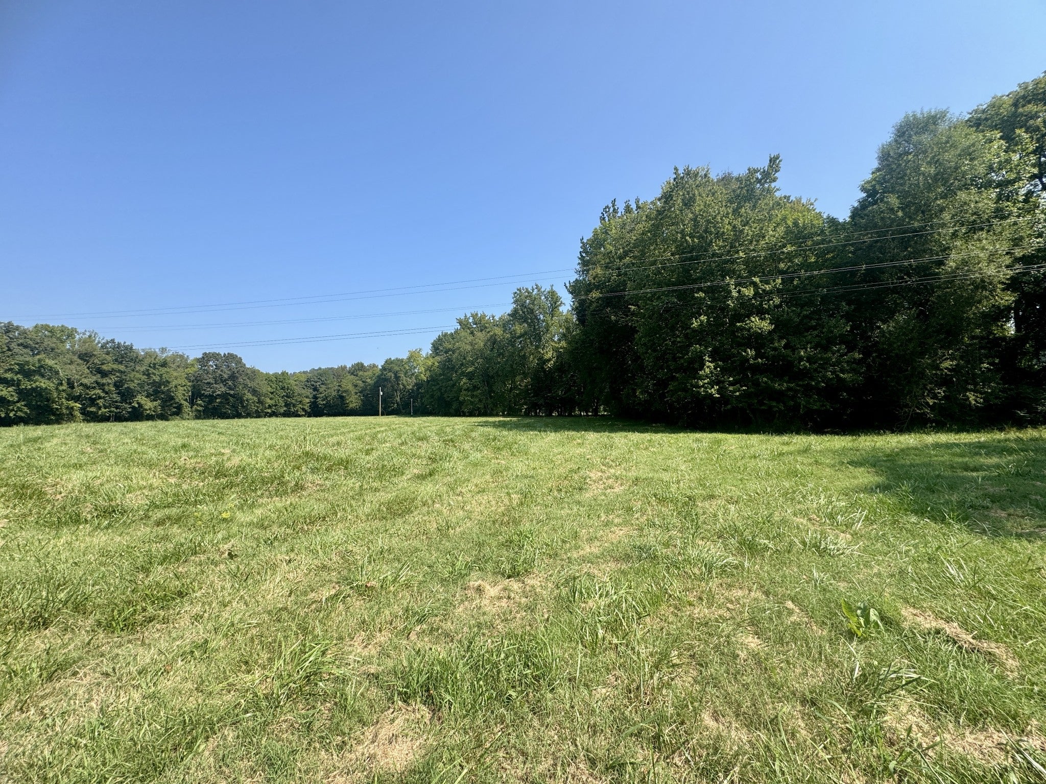 7581 Highway 438 W