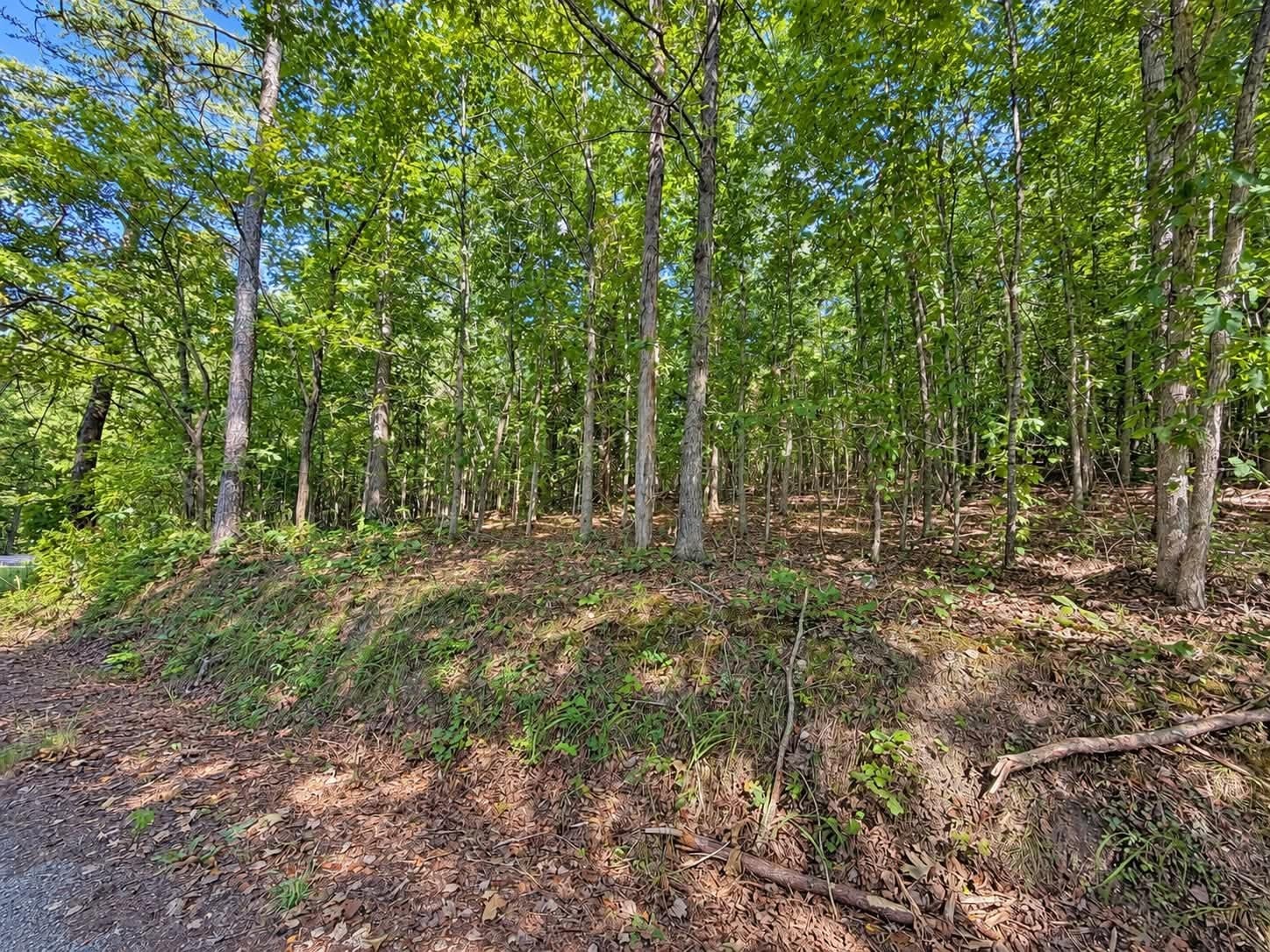 105 County Road 83