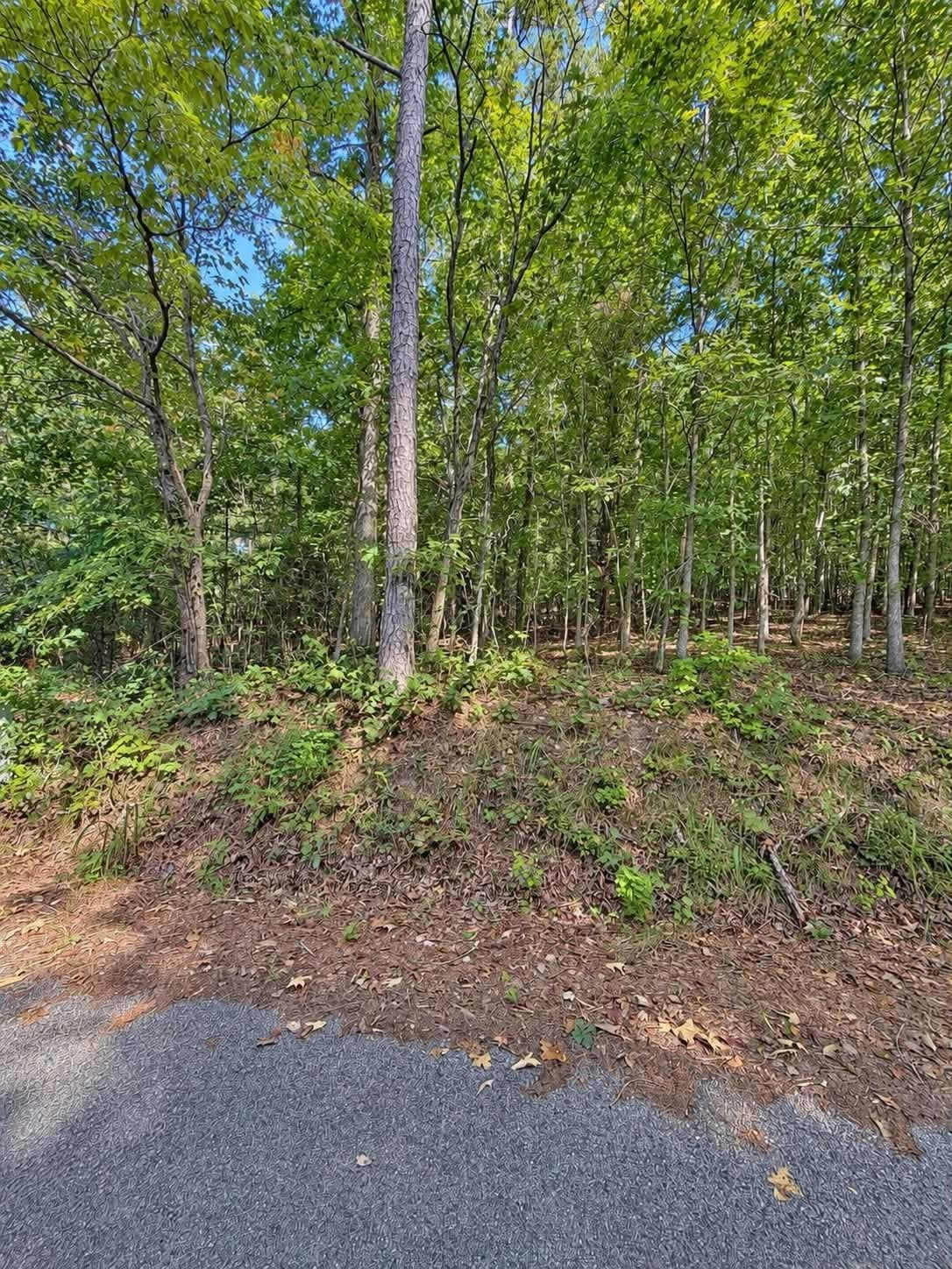 105 County Road 83