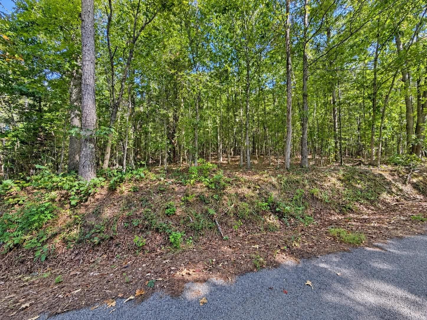 105 County Road 83