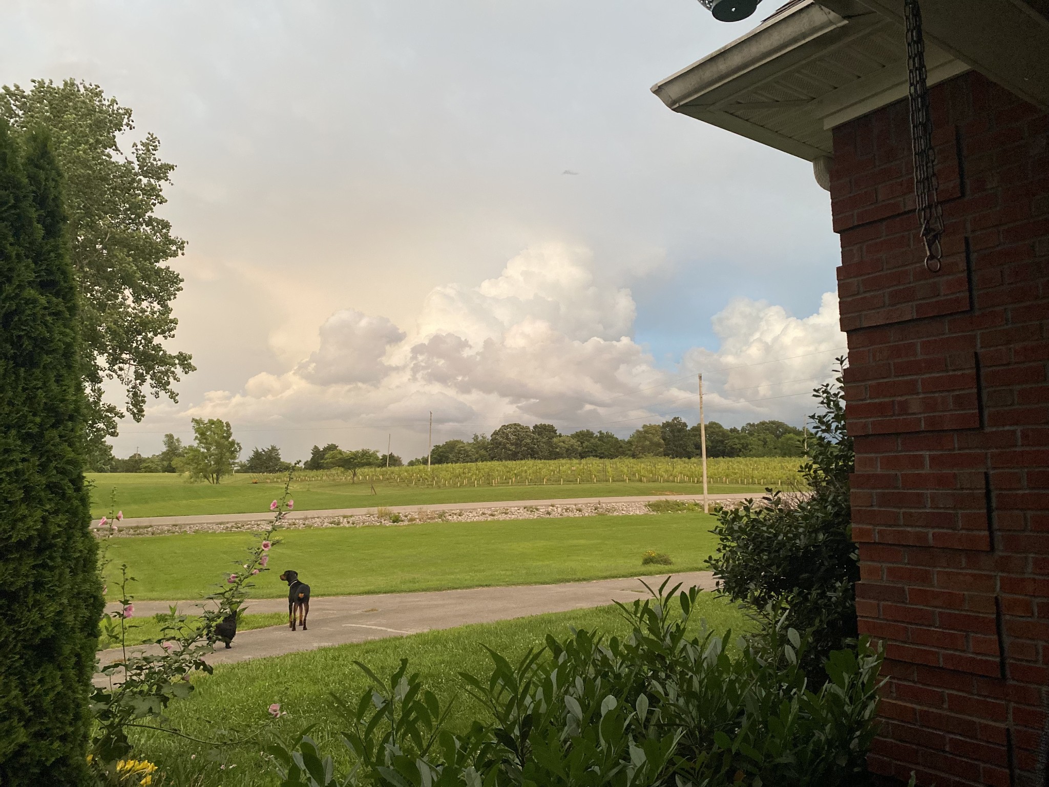 6091 Harmony Grove Rd