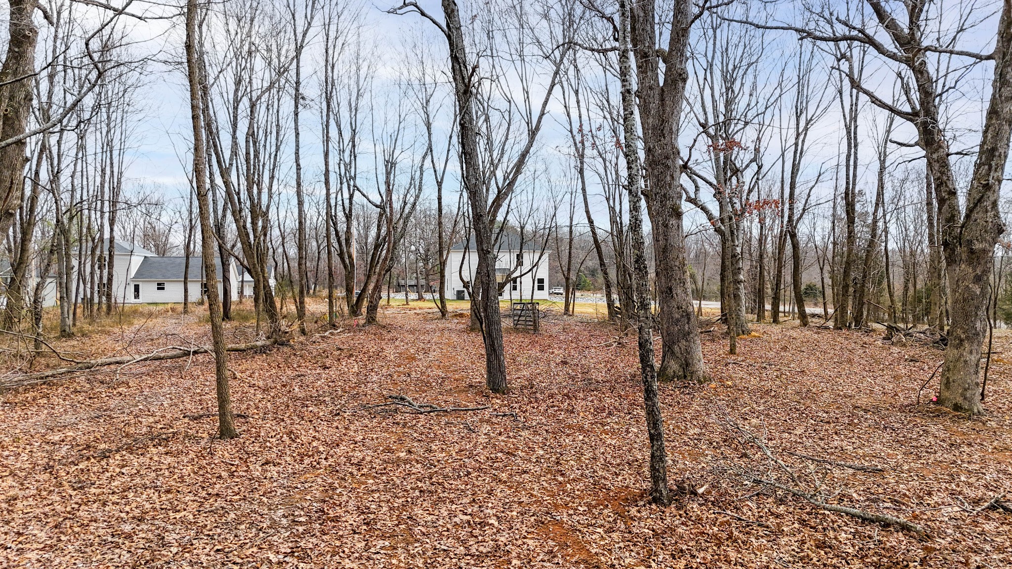 101 Cherry Blossom Way