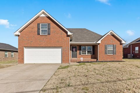 2306 Auldridge Dr Christiana TN 37037