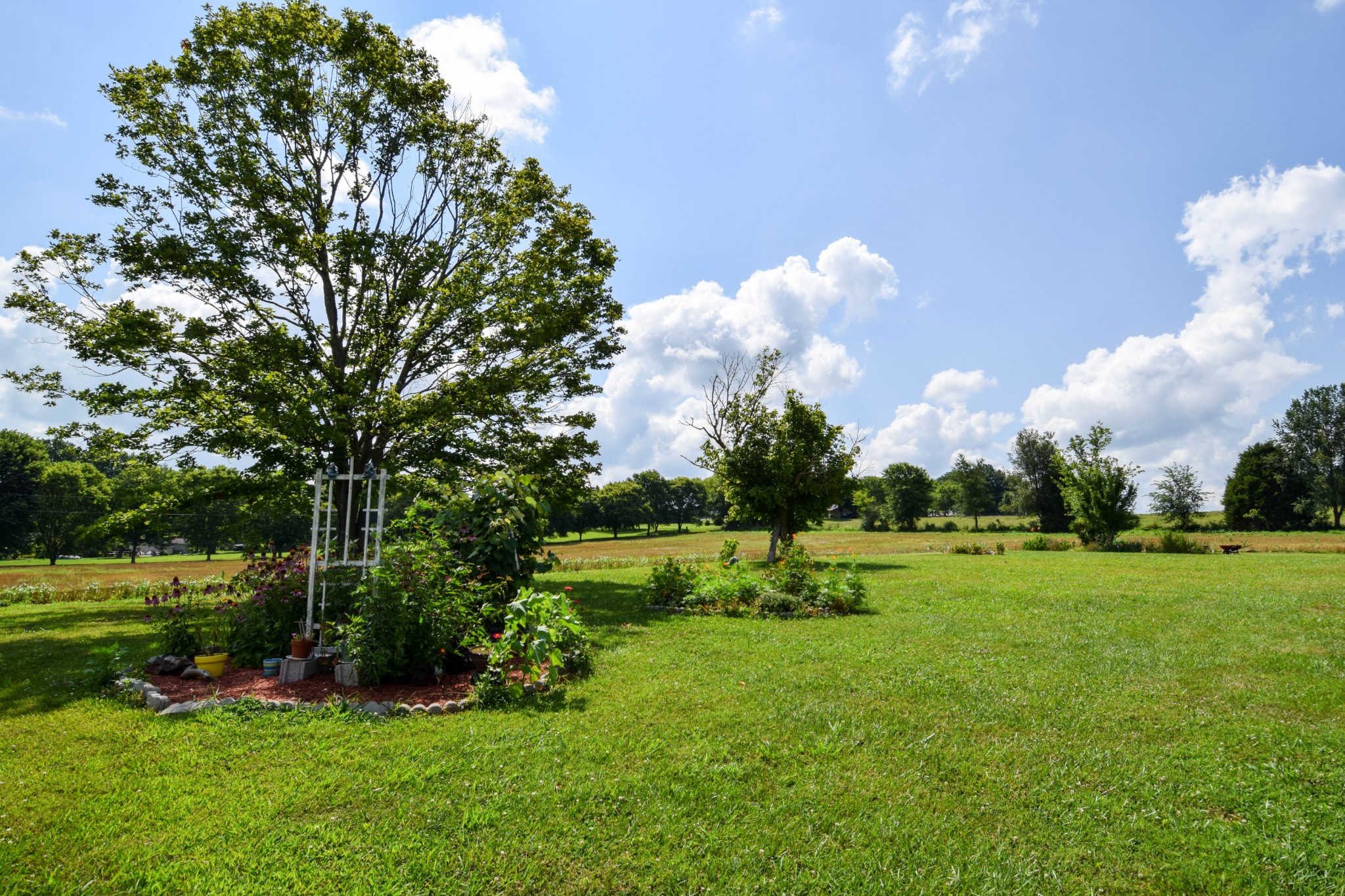 135 Old Hwy 52W
