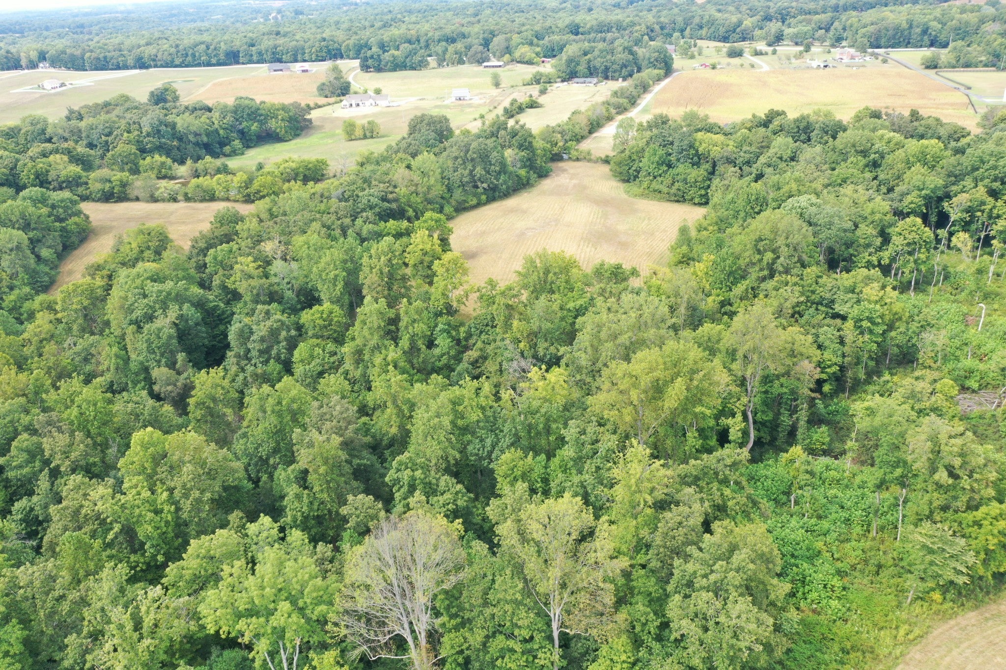 5849 Catholic Church Rd