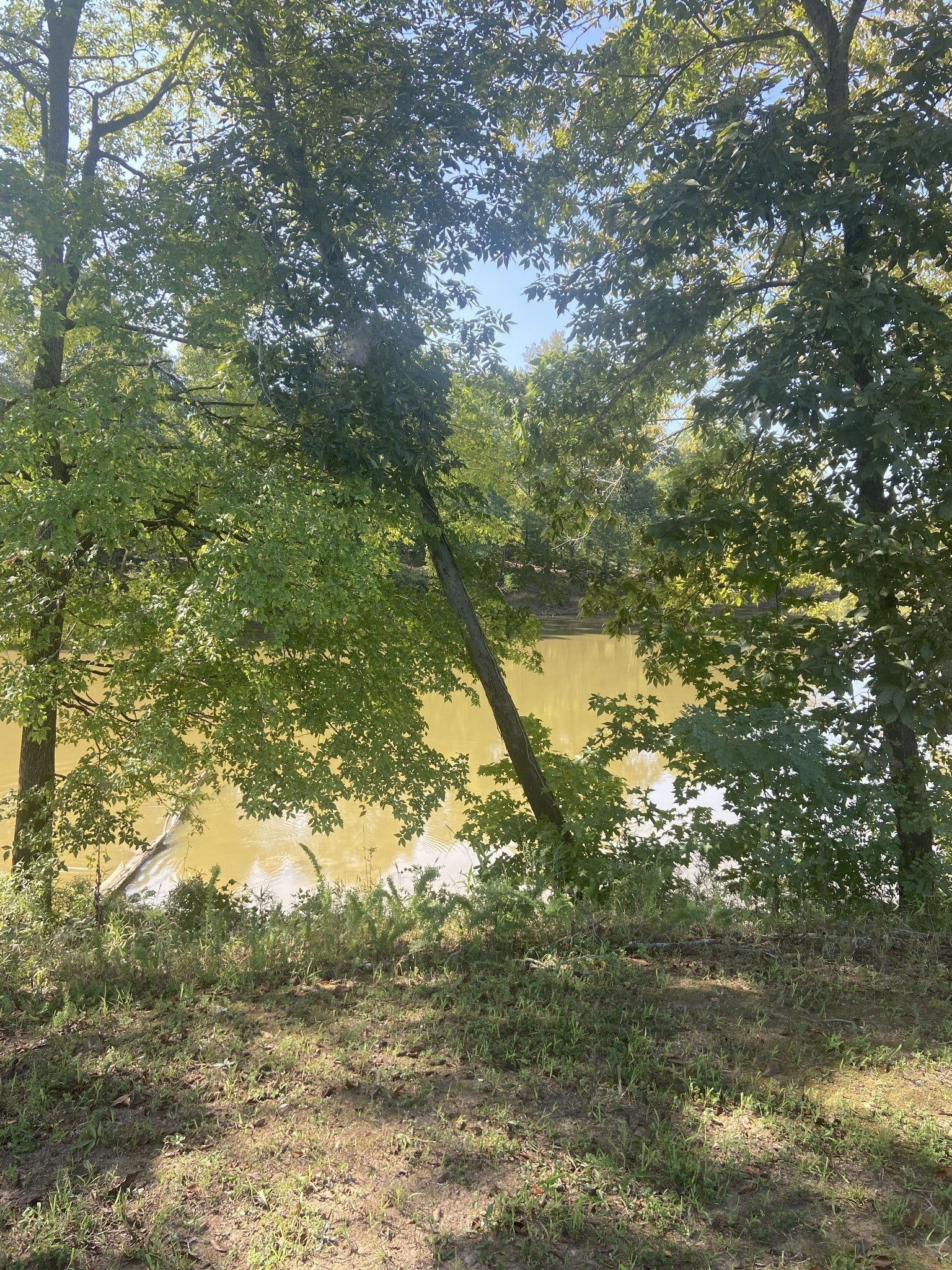 390 Duck Blind Rd