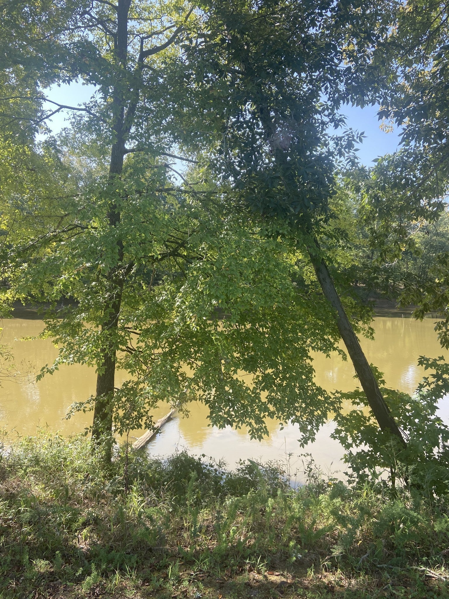 390 Duck Blind Rd