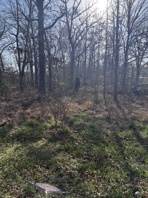 0 Cheyenne Cir Beechgrove TN 37018