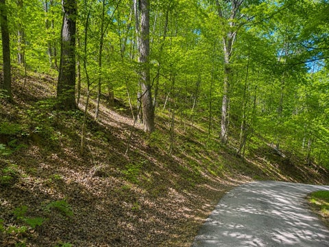 Photo of 0 Lakeside Dr, Smithville, TN 37166 (MLS # 3255063)