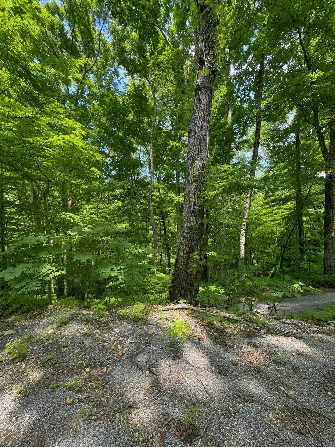 0 Lakeside Dr